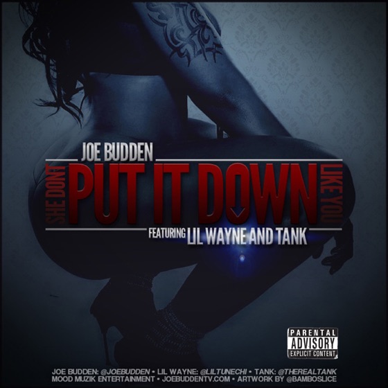 Cover artwork for She Don't Put It Down (feat. Lil Wayne & Tank)