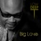 Big Love (Video Mix) - Single