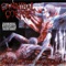 The Cryptic Stench - Cannibal Corpse lyrics