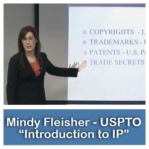 "Introduction to Intellectual Property"-Mindy Fleisher, USPTO - 2.Chapter Segments cover
