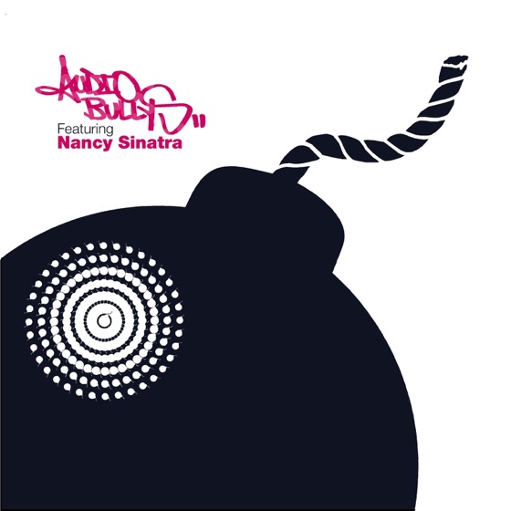 Cover artwork for Shot You Down