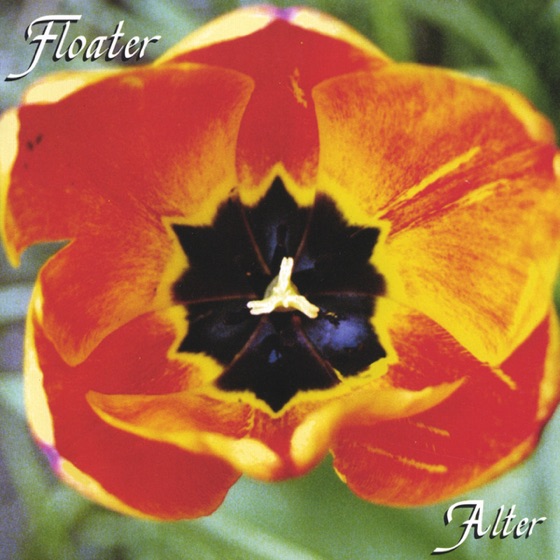 Cover artwork for Diamond