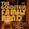 Dreidel - The Goldstein Family Band lyrics