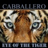 Eye of the Tiger - Single