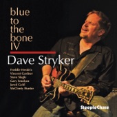 Dave Stryker - Blues for Brother Jack