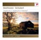 Lorin Maazel, Wiener Philharmoniker, Franz Schubert - Symphony No. 8 in B Minor ("Unfinished"): I. Allegro moderato
