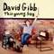 This Young Boy - David Gibb lyrics