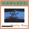 Consept - Shanley Wang lyrics