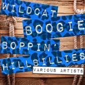 Wildcat Boogie Boppin' Hillbillies artwork