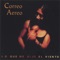 Las Flores - Correo Aereo lyrics