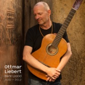 Ottmar Liebert - Moonlight