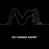 Do I Wanna Know? - Single, 2013