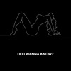 Do I Wanna Know? - Single