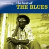 Presenting...The Best of the Blues artwork
