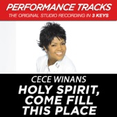 Holy Spirit, Come Fill This Place (Performance Tracks) - EP artwork