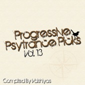 Progressive Psytrance Picks, Vol. 13 artwork