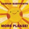 Rocks and Flowers - Caspar Babypants lyrics