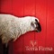 Terra Firma (Remix By: Bartel) - The Flashbulb lyrics