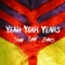 Phenomena - Yeah Yeah Yeahs lyrics