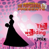 The Wedding Mix (Special Tracks and Tools for Weddings) artwork