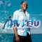 O Ara Ketu Comanda a Avenida - Ara Ketu lyrics