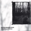 Gayla Drake Paul - The View from My Window