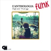 L'anthologia funk - Dagli anni settanta ad oggi, gli italiani che hanno scelto il groove artwork