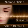 Brown Noise - 90 Minutes album lyrics, reviews, download