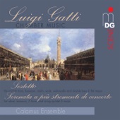 Gatti: Chamber Music artwork