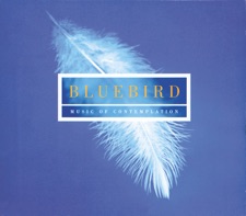 The Blue Bird artwork