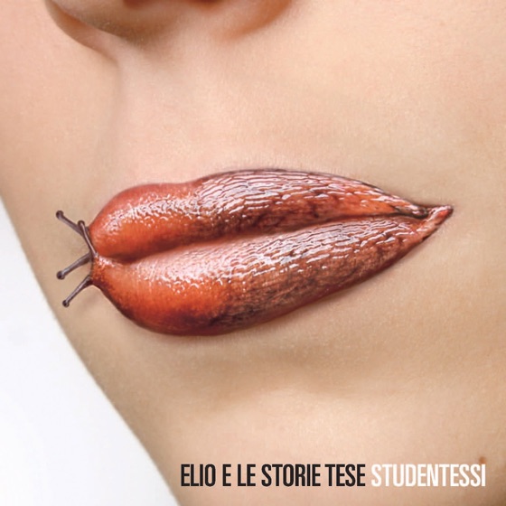 Cover artwork for Supermassiccio
