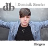 Fliegen - Single