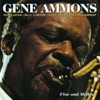 Strange Fruit  - Gene Ammons 