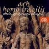 Ach, homo fragilis artwork