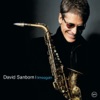 Harlem Nocturne  - David Sanborn 