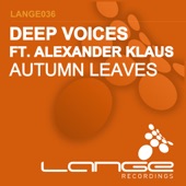 Autumn Leaves (Beltek Remix) artwork