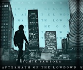 Aftermath of the Lowdown (Deluxe Version) artwork