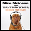 Celebrate Your Chance (Mike Molossa Meets Wavepuntcher) [Remixes] - EP