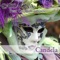 Candela (feat. Carlos Campos) - Cassagna lyrics