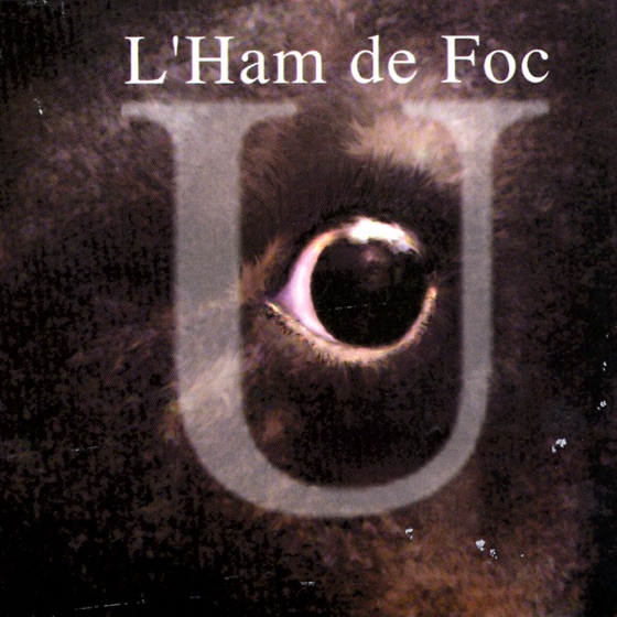 Cover artwork for Els Camins