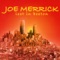 Roller Coaster Road - Joe Merrick lyrics
