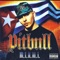Culo - Pitbull & Lil Jon lyrics