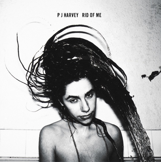 Cover artwork for Snake