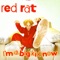 Fat Girl, Slim Girl - Red Rat & Goofy lyrics