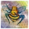 Honey Bee - Sara Tone lyrics