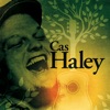 Cas Haley - Survive