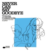 Never Can Say Goodbye artwork