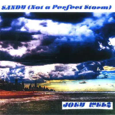 Sandy (Not a Perfect Storm) - Single - Joey Welz
