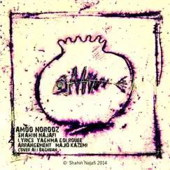 Amoo Norooz - Single by Shahin Najafi album reviews, ratings, credits