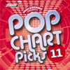 Zoom Karaoke - Pop Chart Picks 11